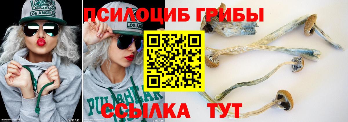 Галлюциногенные грибы прущие грибы  Вход с VPN  Брянск 