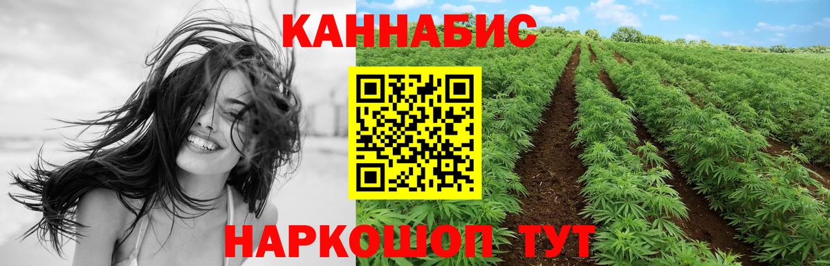 Брянск  Бошки марихуана индика  Шишки марихуана гибрид  Вход с VPN  Бошки марихуана тримм 